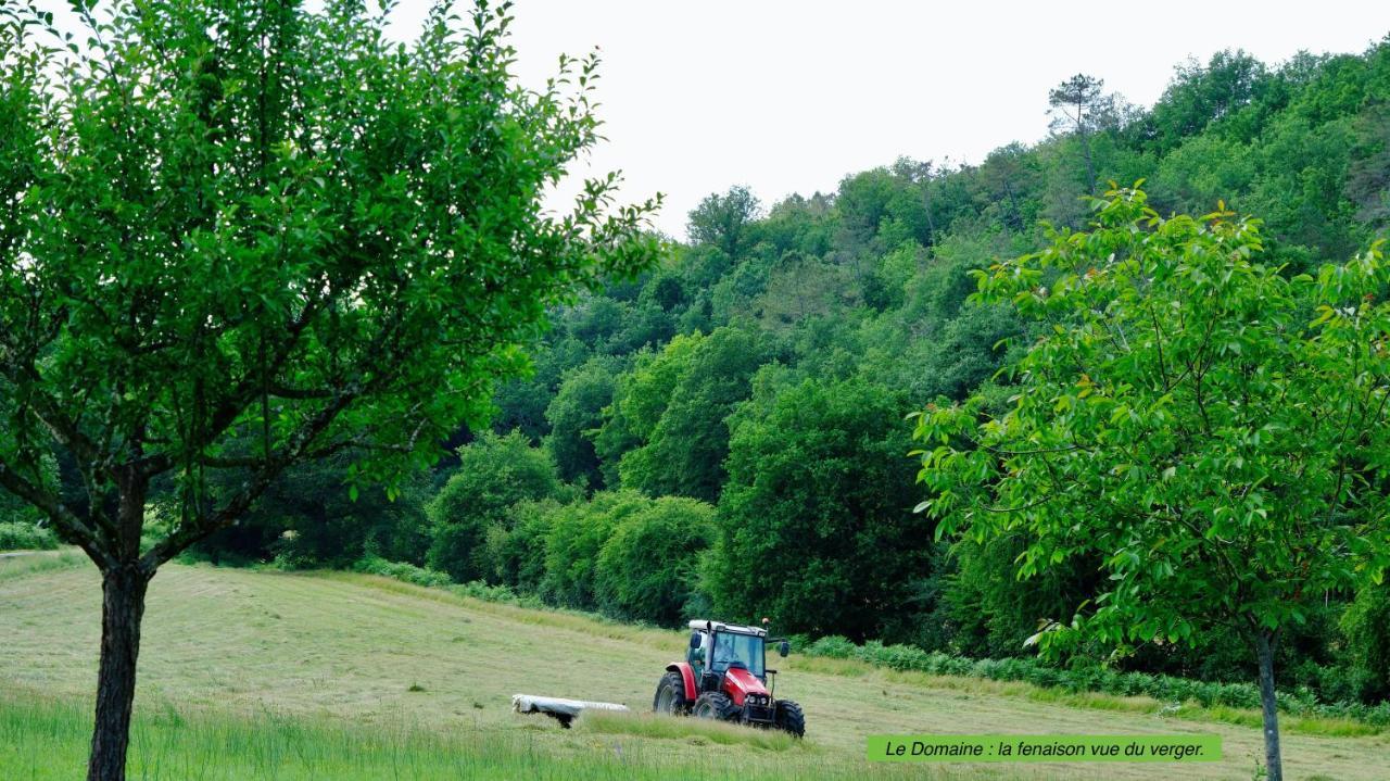 Domaine Du Champ De L'hoste Larzac