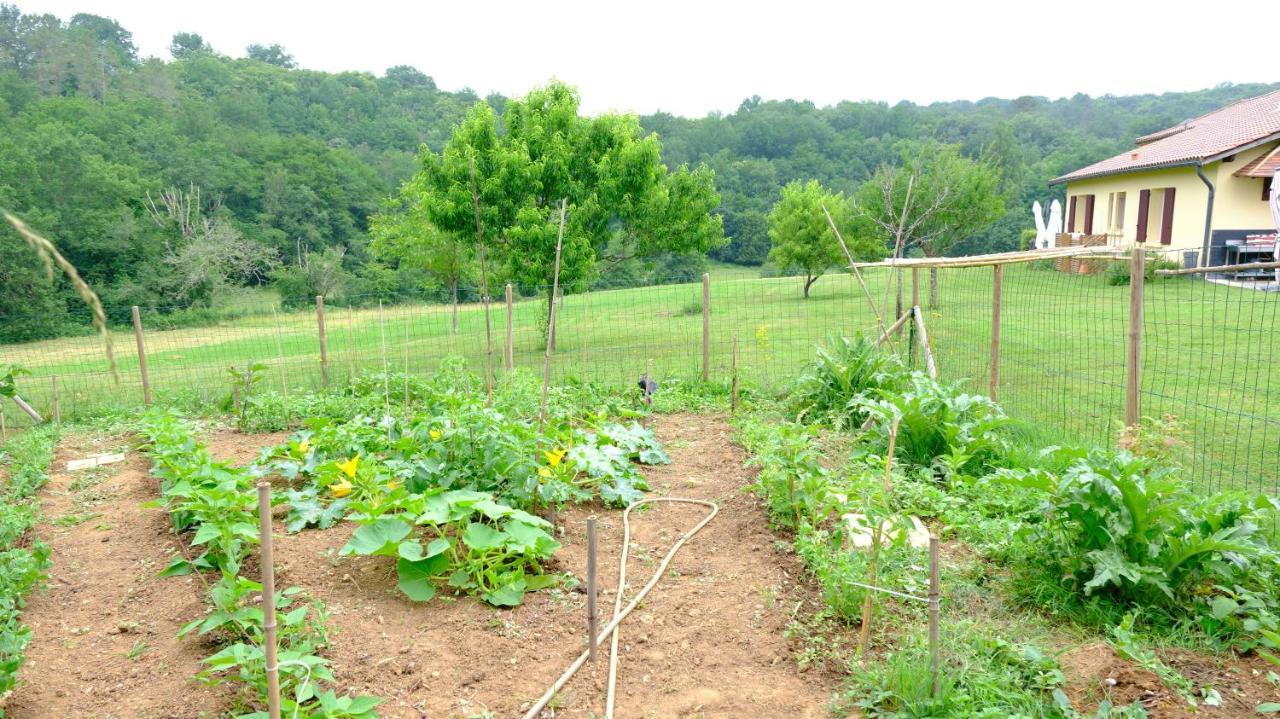 Domaine Du Champ De L'hoste