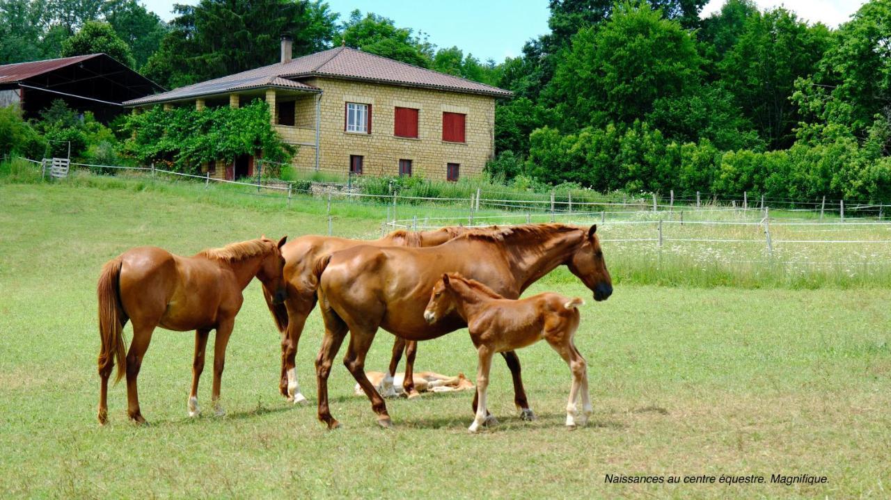 Domaine Du Champ De L'hoste