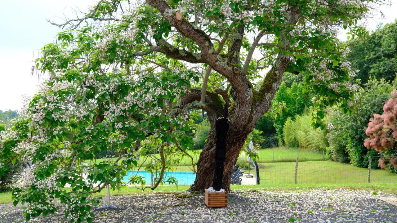 Domaine Du Champ De L'hoste Maison d'hôtes